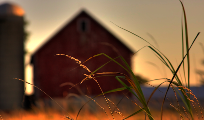 Why are AGRO roof panels suitable for livestock buildings?